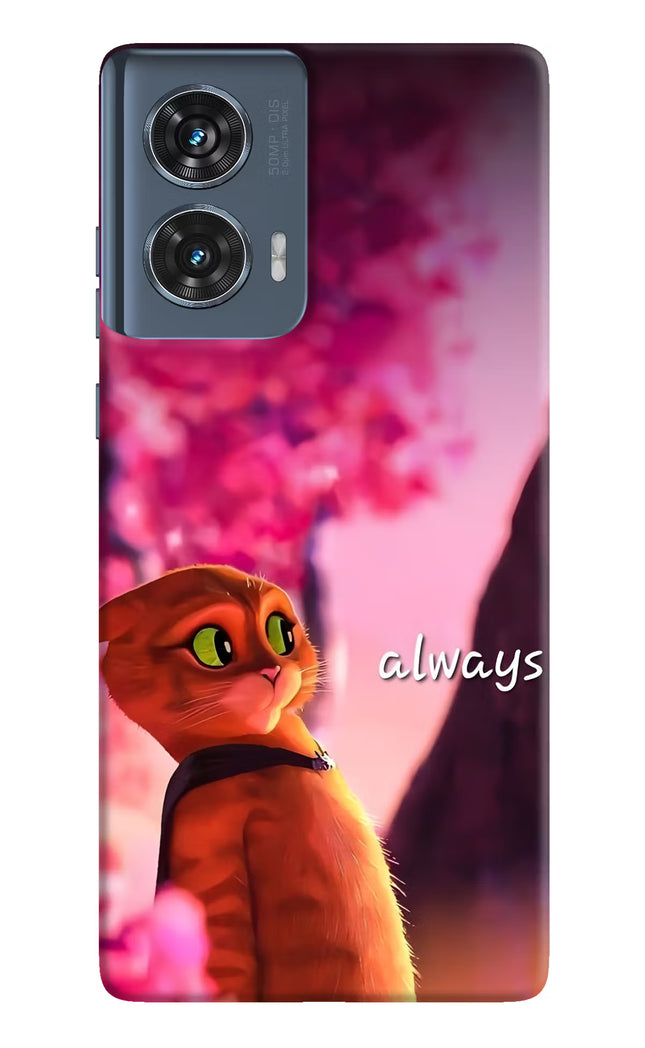 Always Cat Moto Edge 50 Fusion Hard Case Back Cover by Casekaro