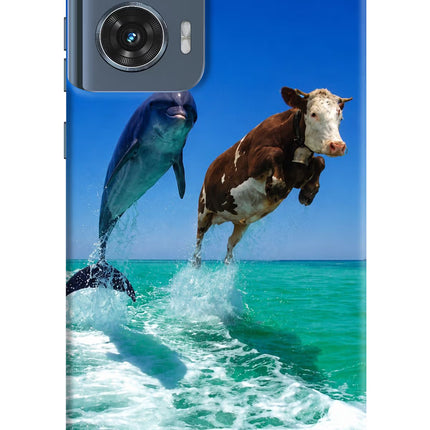 Dolphin vs Cow Moto Edge 50 Fusion Hard Case Back Cover by Casekaro