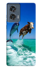 Dolphin vs Cow Moto Edge 50 Fusion Hard Case Back Cover by Casekaro