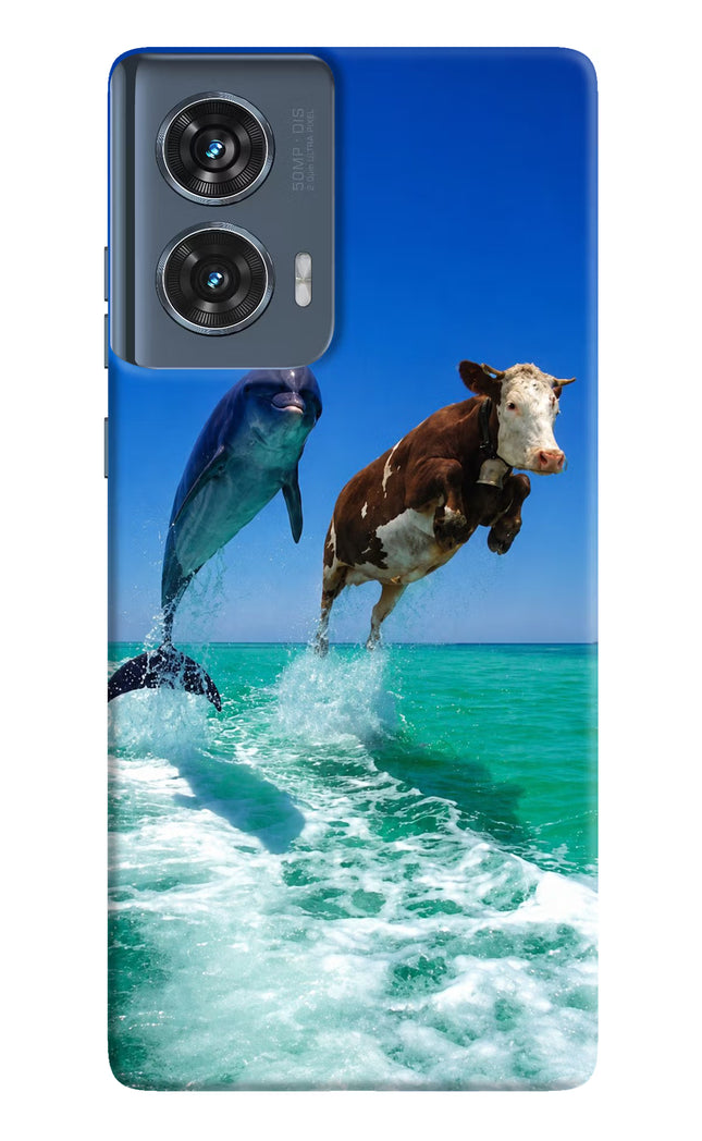 Dolphin vs Cow Moto Edge 50 Fusion Hard Case Back Cover by Casekaro