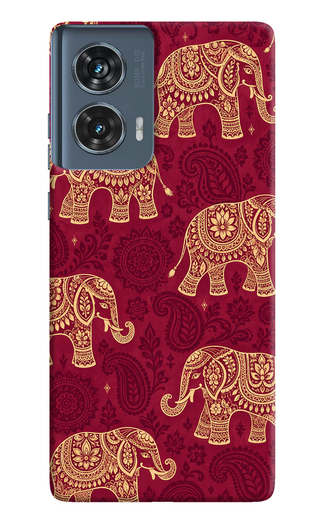 Maroon Elephant Moto Edge 50 Fusion Back Cover