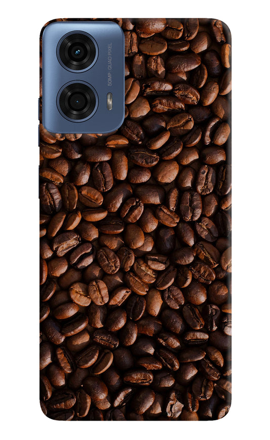 Coffee Beans Moto G24 Power Back Cover