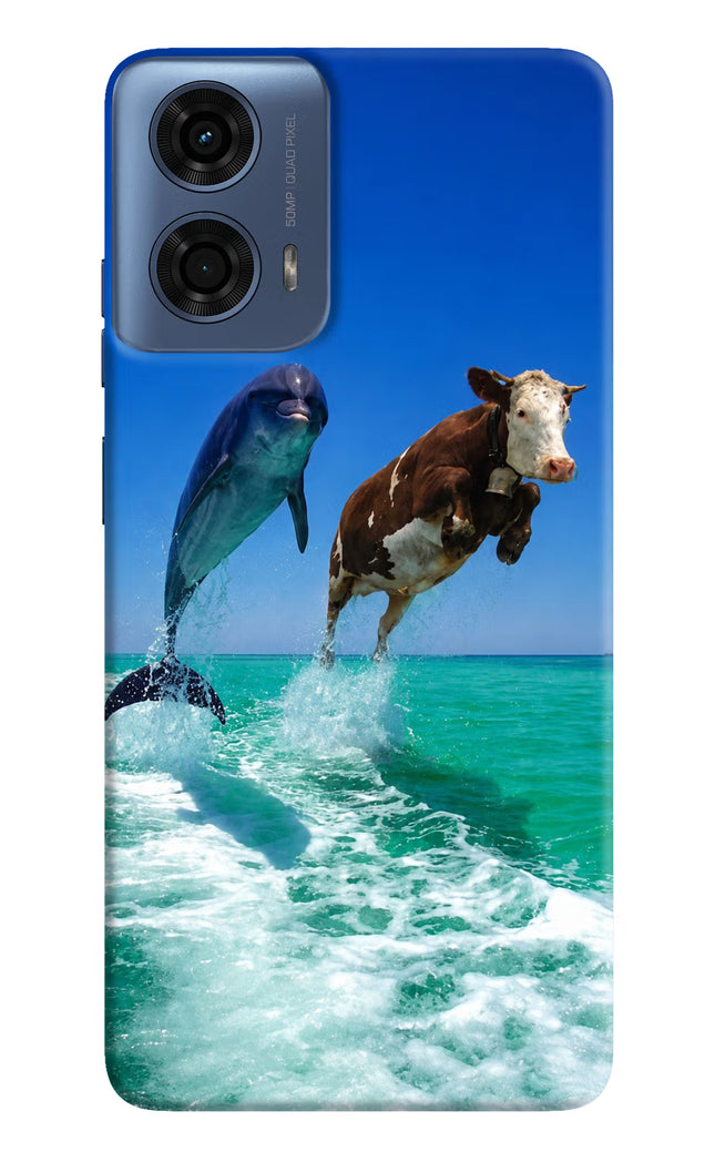 Dolphin vs Cow Moto G24 Power Hard Case Back Cover by Casekaro