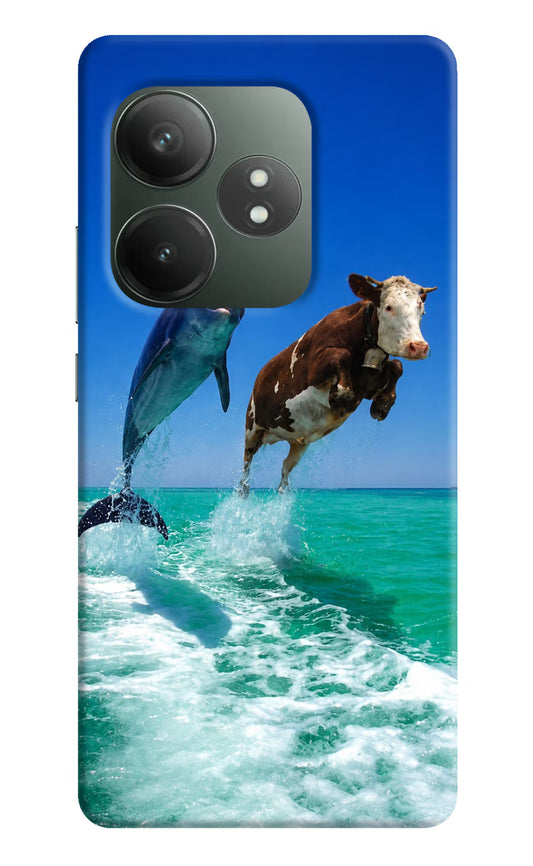 Dolphin vs Cow Realme GT 6T 5G Hard Case Back Cover by Casekaro