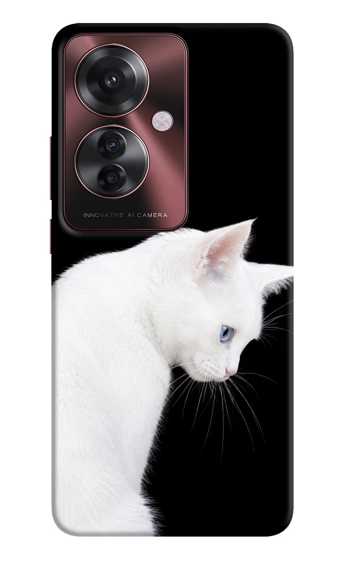 Snow Gaze Oppo F25 Pro 5G Back Cover