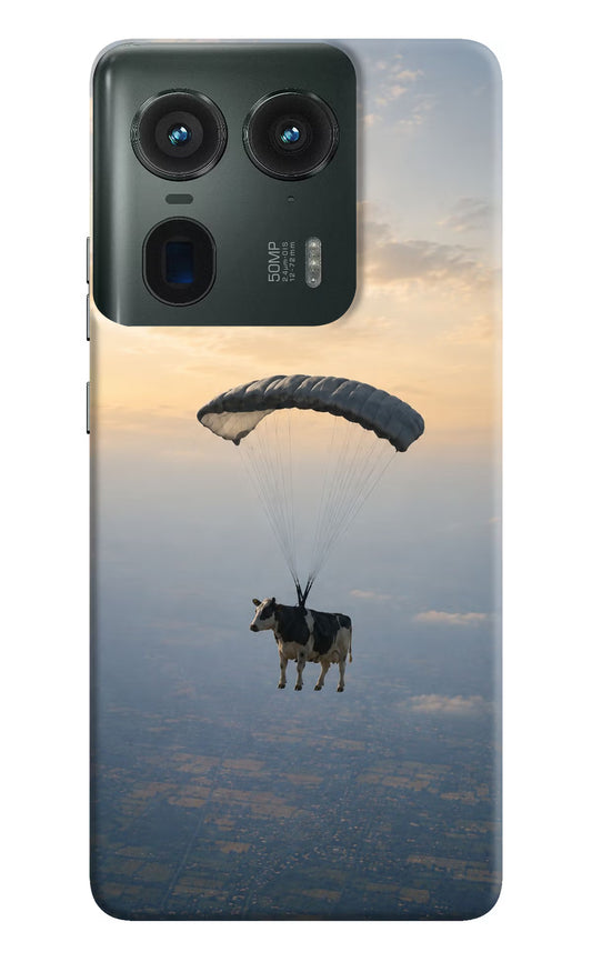 Skydiving Cow Moto Edge 50 Ultra 5G Hard Case Back Cover by Casekaro