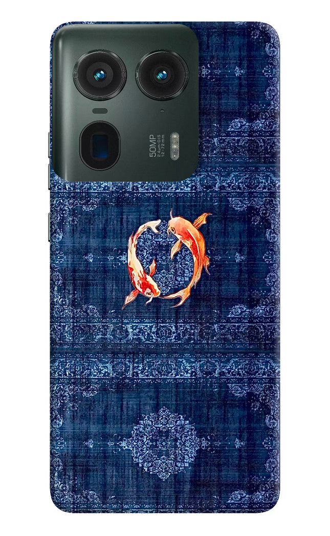 Koi Blue Moto Edge 50 Ultra 5G Hard Case Back Cover by Casekaro