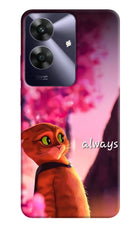 Always Cat Realme C61 Hard Case Back Cover by Casekaro
