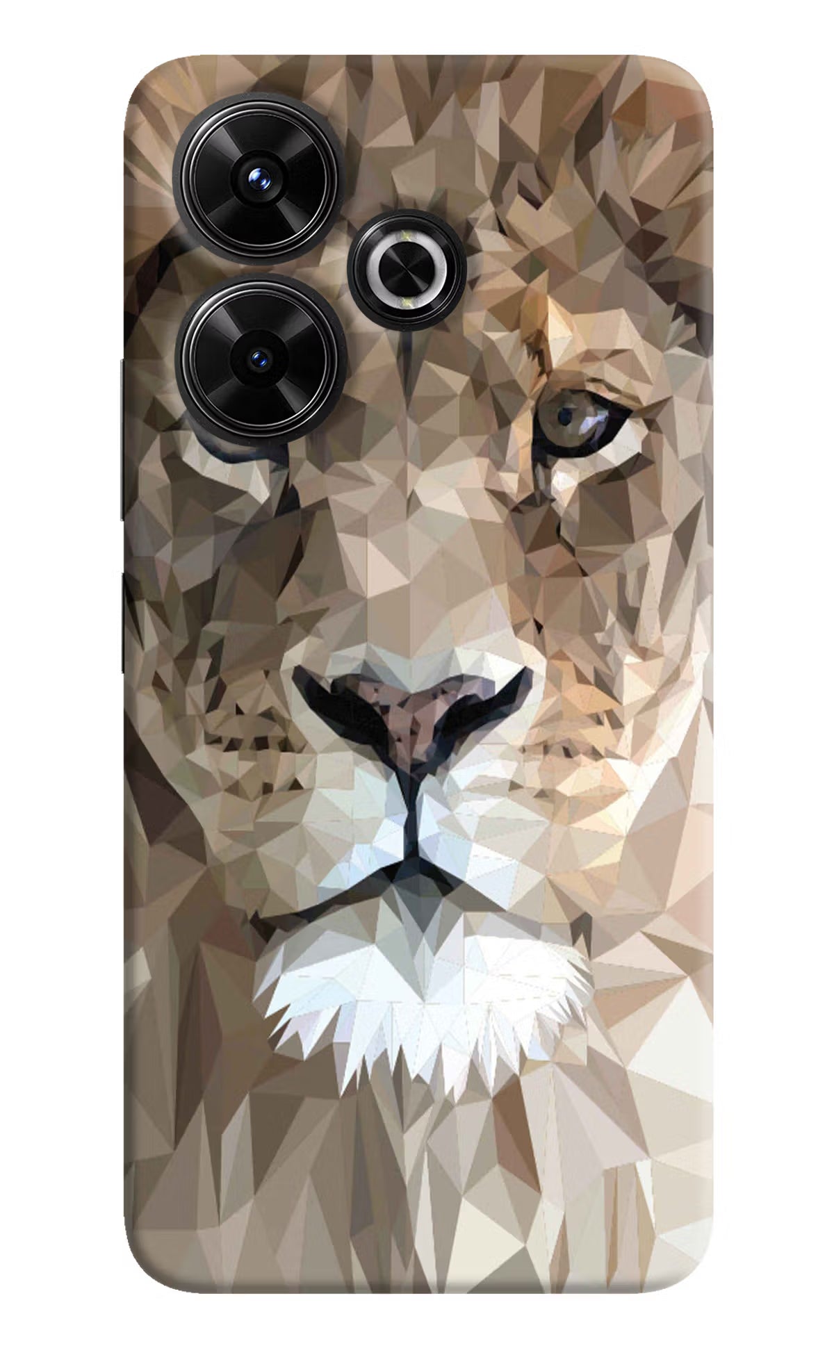 Lion Art Redmi 13 5G Hard Case Back Cover by Casekaro