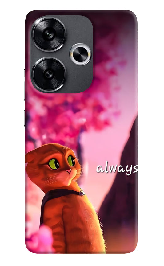 Always Cat Poco F6 5G Hard Case Back Cover by Casekaro