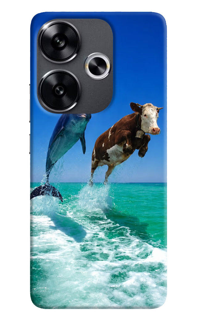 Dolphin vs Cow Poco F6 5G Hard Case Back Cover by Casekaro