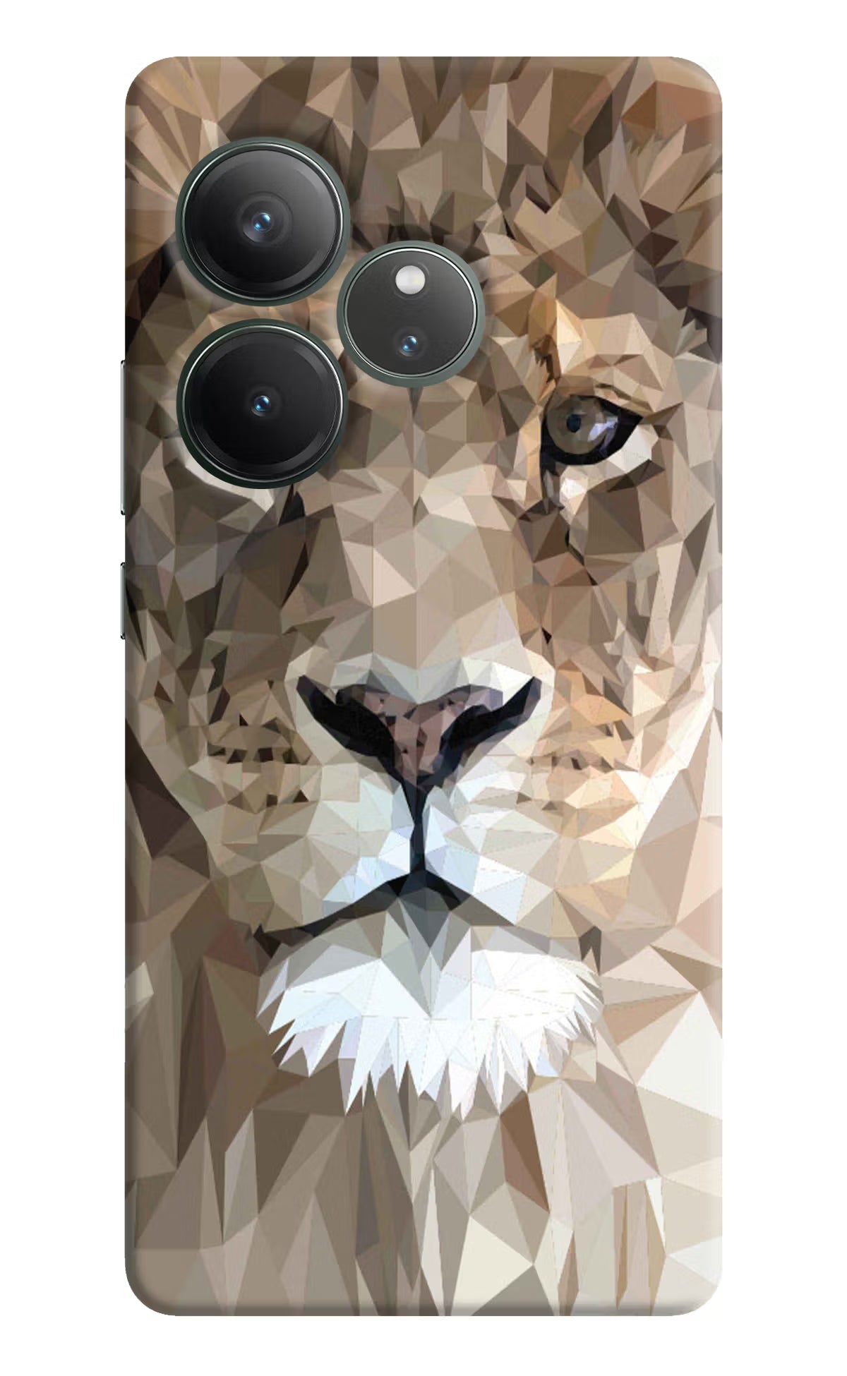 Lion Art Realme GT 6 Hard Case Back Cover by Casekaro