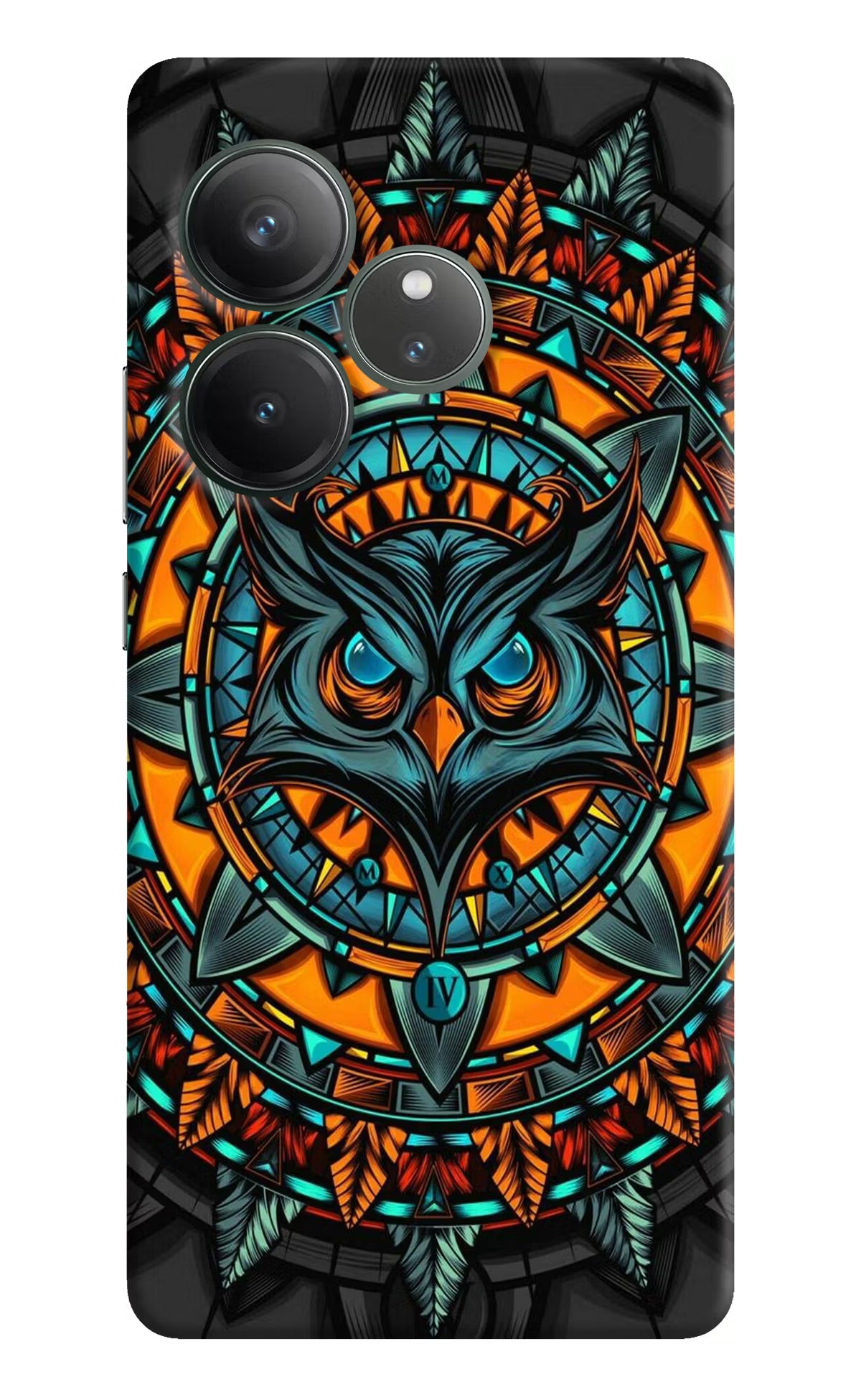 Angry Owl Art Realme GT 6 Hard Case Back Cover by Casekaro