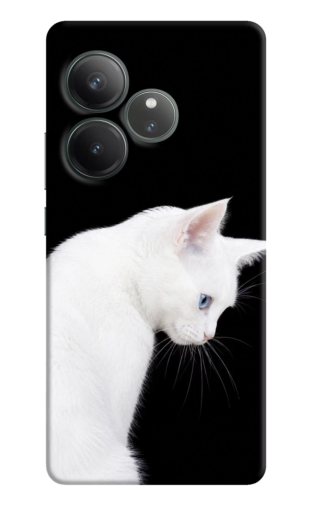 Snow Gaze Realme GT 6 Back Cover