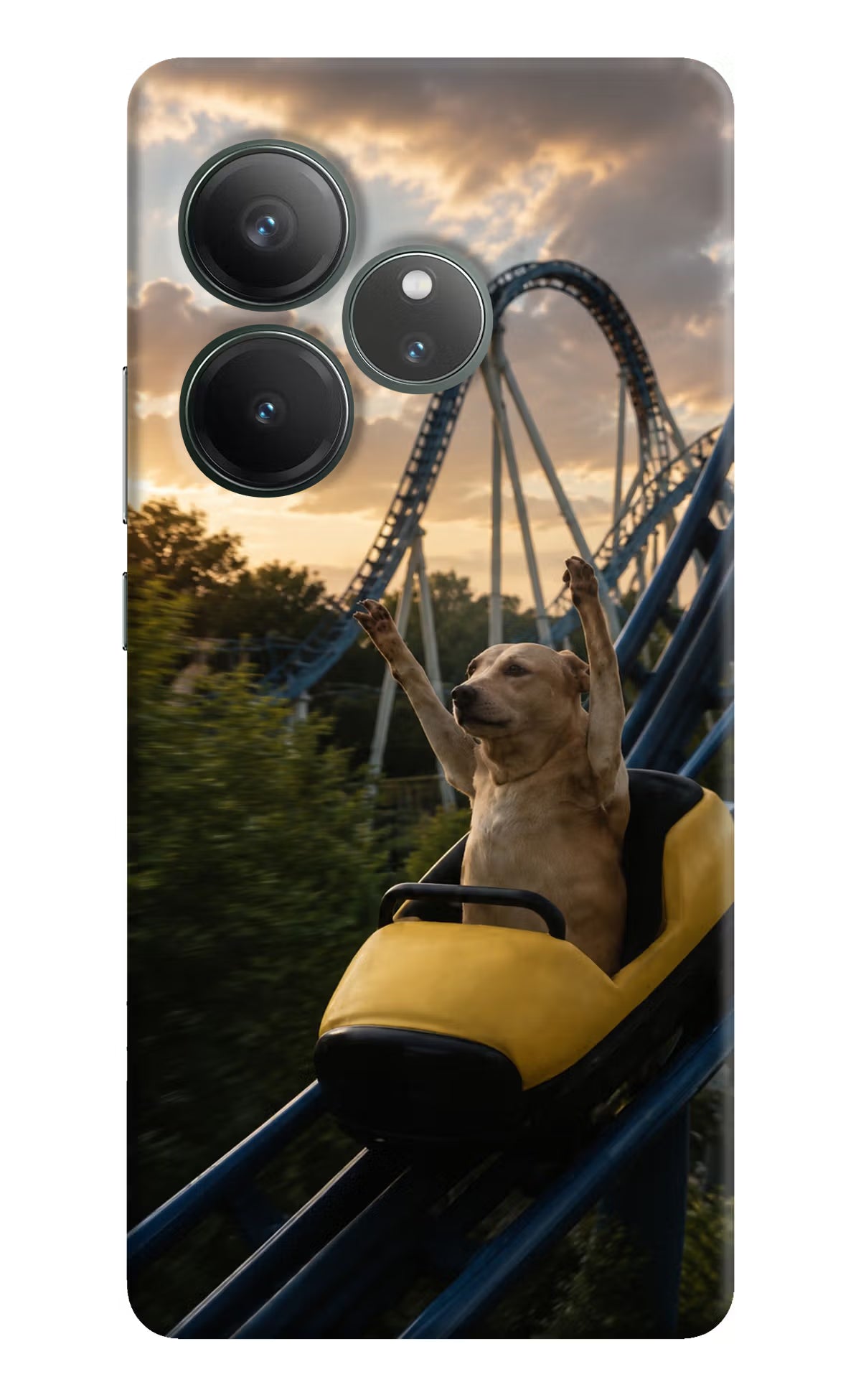 Rollercoaster Dog Realme GT 6 Back Cover