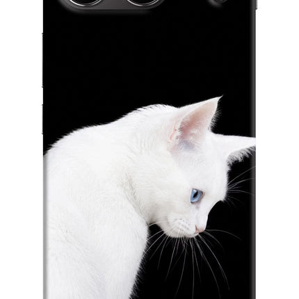 Snow Gaze OnePlus Nord 4 Hard Case Back Cover by Casekaro