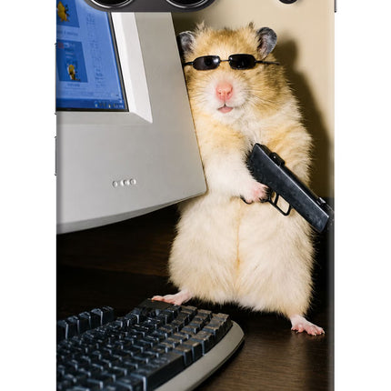 Hacker Hamster OnePlus Nord 4 Hard Case Back Cover by Casekaro