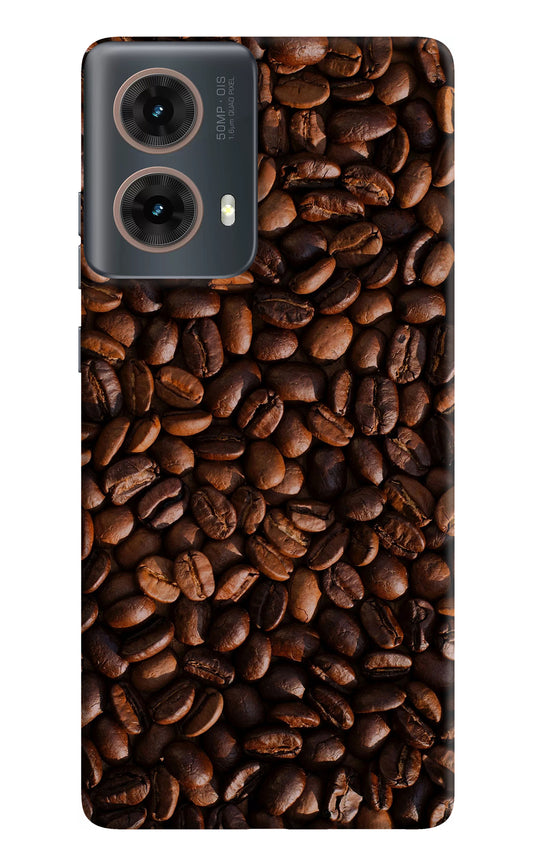 Coffee Beans Motorola G85 Back Cover