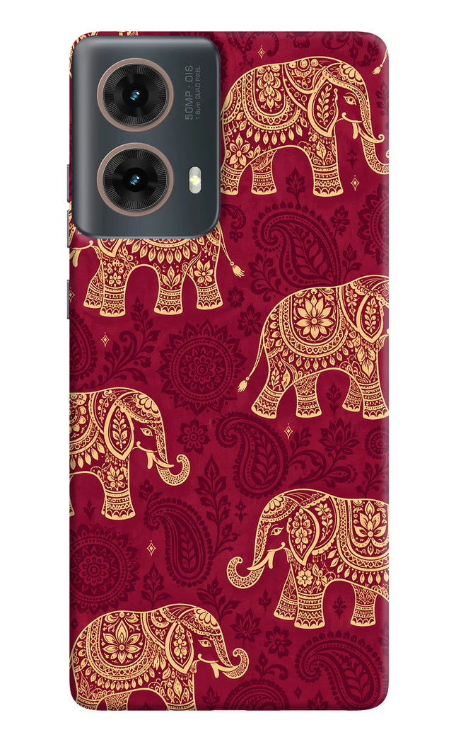Maroon Elephant Motorola G85 Hard Case Back Cover by Casekaro