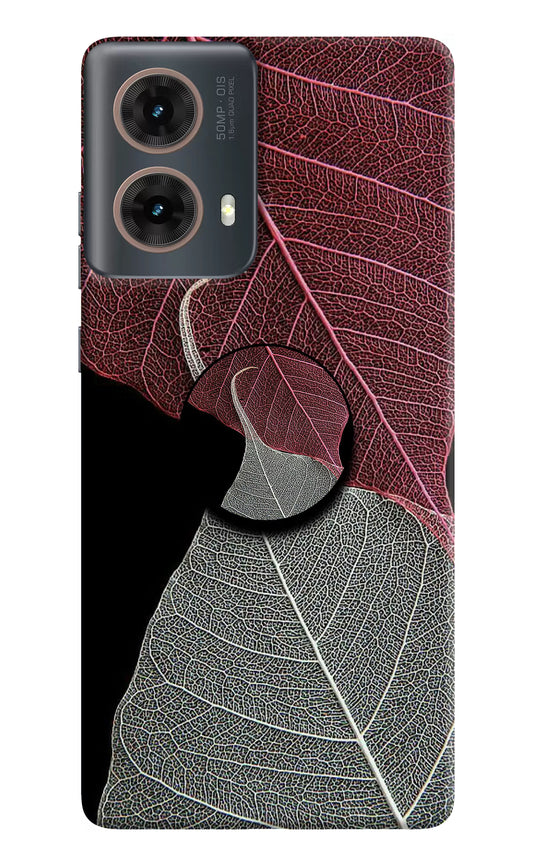 Leaf Pattern Motorola G85 Pop Case by Casekaro