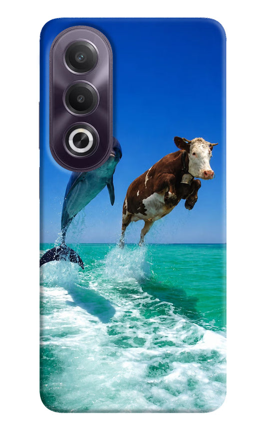 Dolphin vs Cow OPPO K12x Hard Case Back Cover by Casekaro
