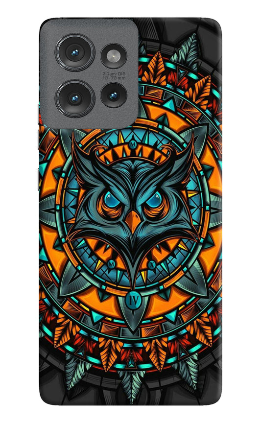 Angry Owl Art Moto Edge 50 Back Cover