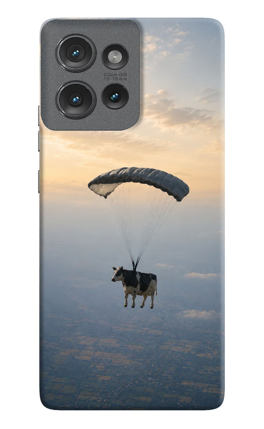 Skydiving Cow Moto Edge 50 Hard Case Back Cover by Casekaro