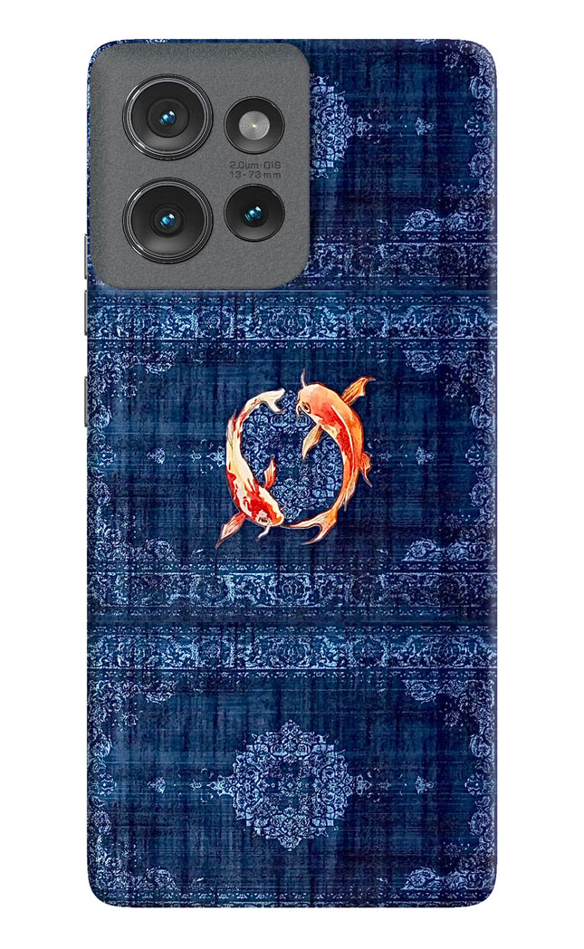 Koi Blue Moto Edge 50 Hard Case Back Cover by Casekaro