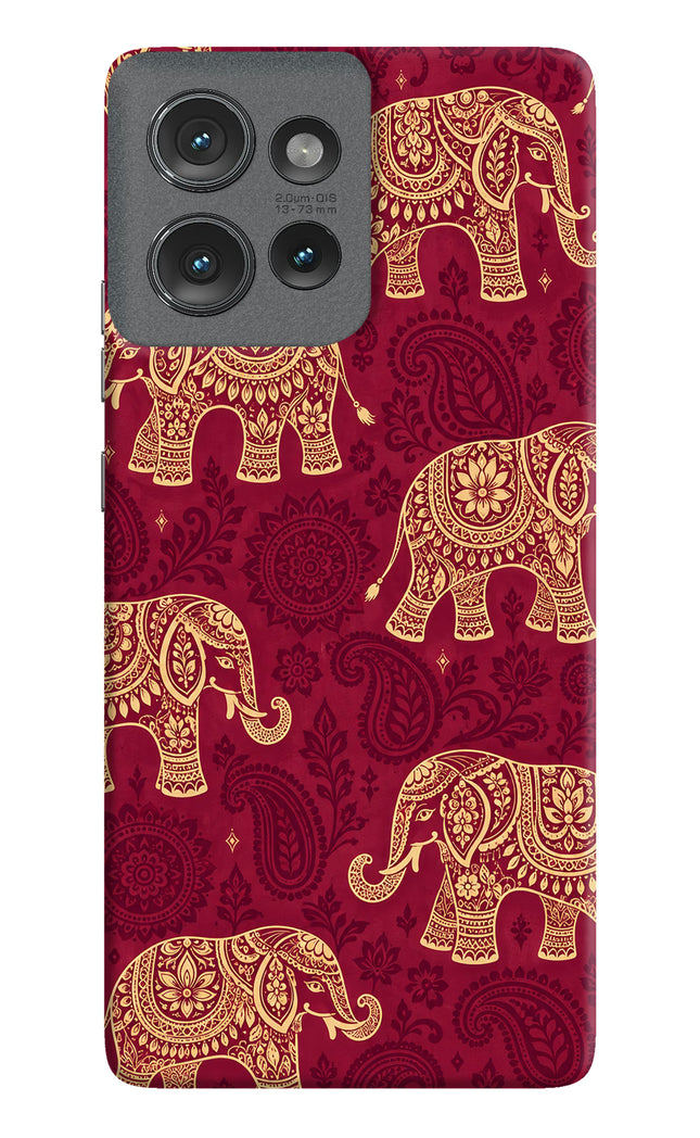 Maroon Elephant Moto Edge 50 Hard Case Back Cover by Casekaro