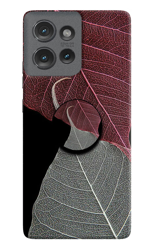 Leaf Pattern Moto Edge 50 Pop Case by Casekaro