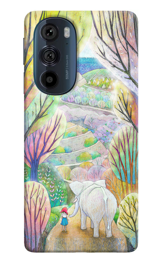 Nature Painting Moto Edge 30 Pro Back Cover