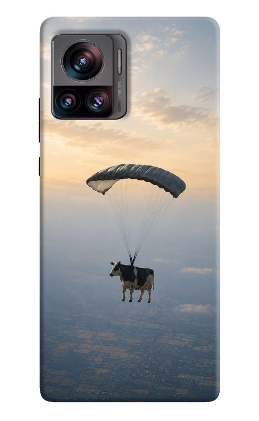Skydiving Cow Moto Edge 30 Ultra Hard Case Back Cover by Casekaro