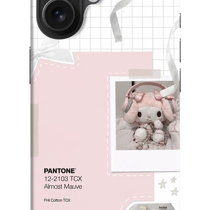 Pantone Asthetic iPhone 16 Hard Case Back Cover by Casekaro