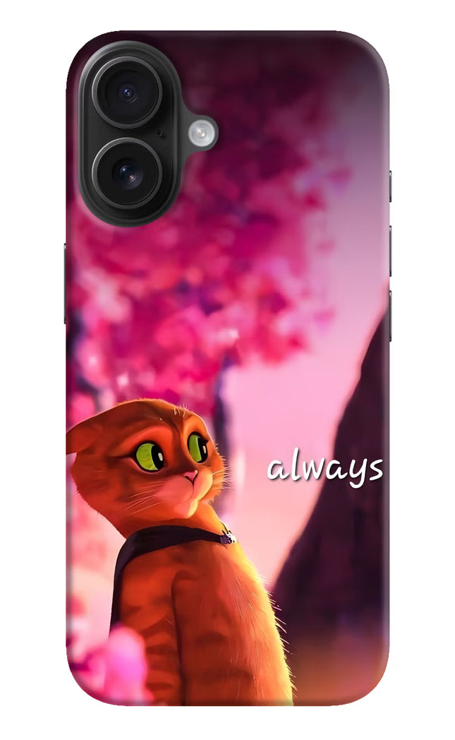 Always Cat iPhone 16 Hard Case Back Cover by Casekaro
