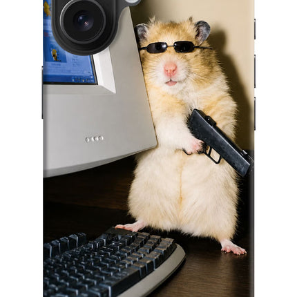 Hacker Hamster iPhone 16 Hard Case Back Cover by Casekaro