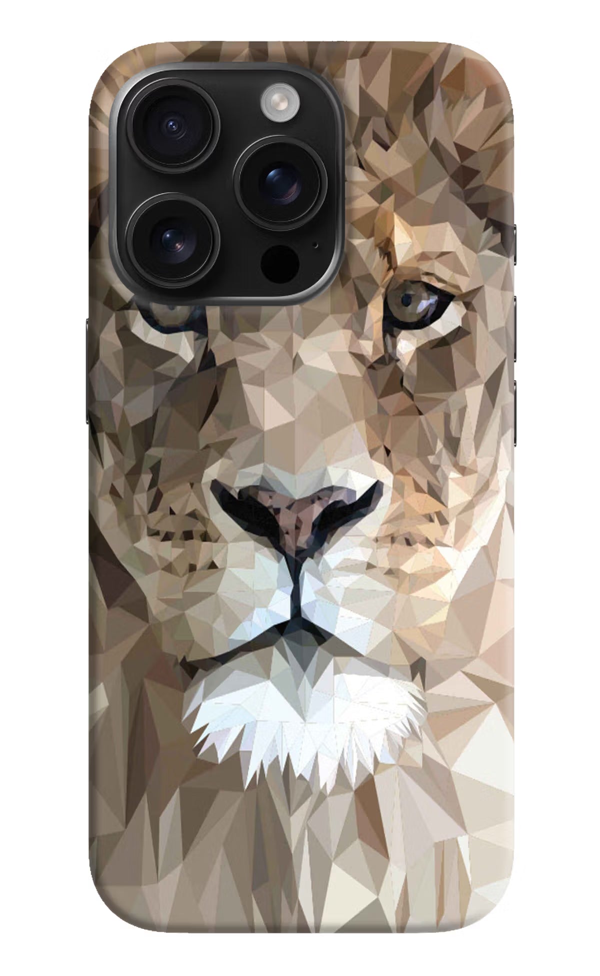 Lion Art iPhone 16 Pro Hard Case Back Cover by Casekaro