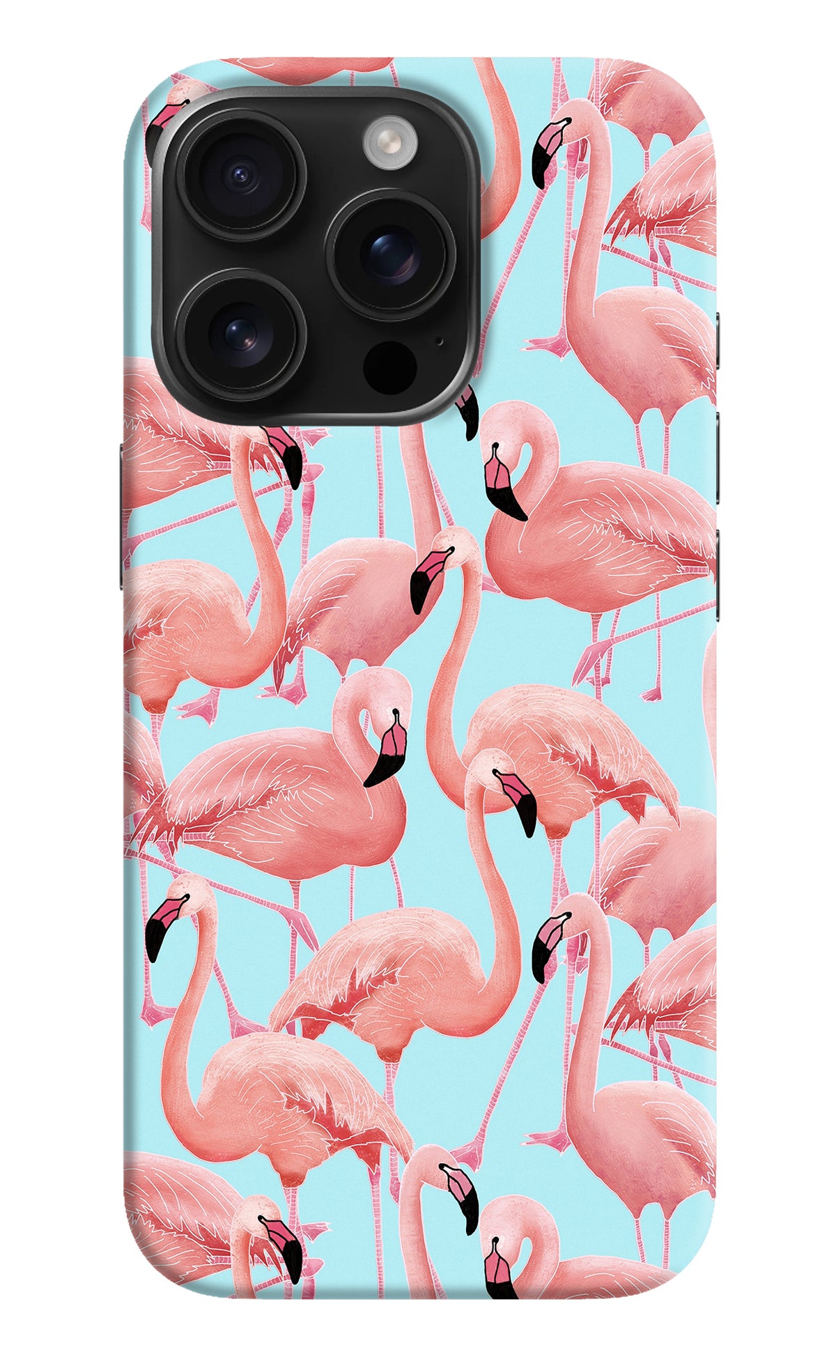 Flamboyance iPhone 16 Pro Back Cover