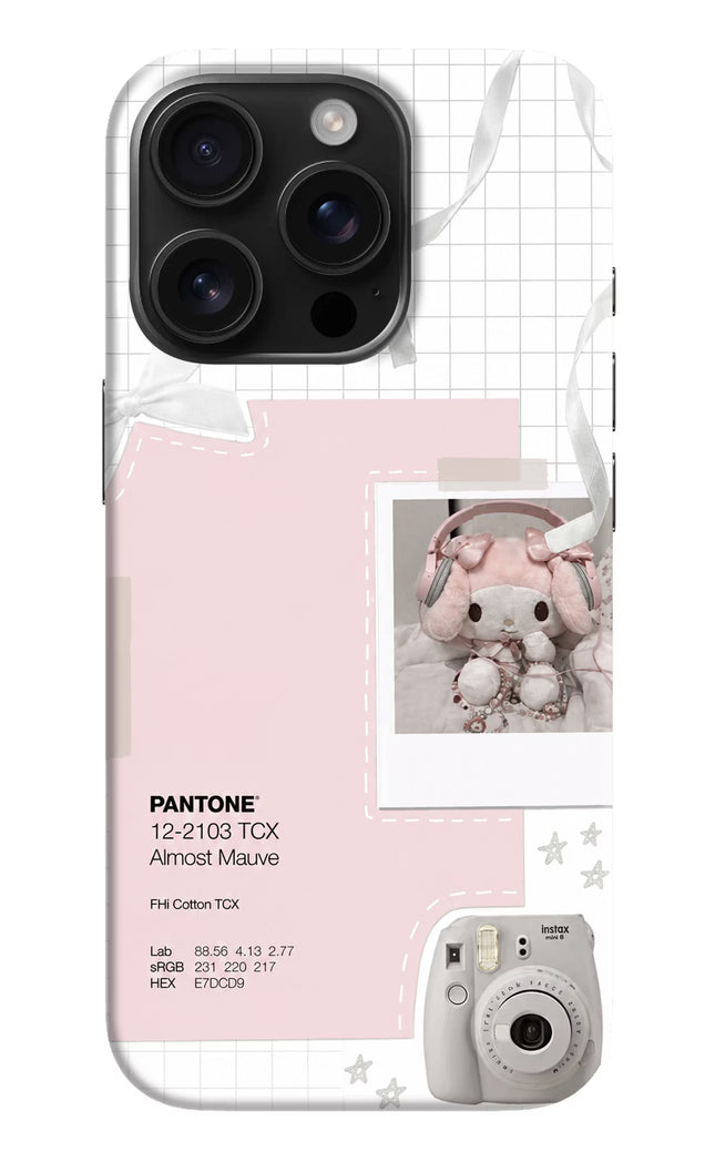 Pantone Asthetic iPhone 16 Pro Hard Case Back Cover by Casekaro