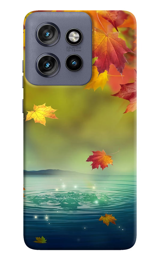 Flowers Moto Edge 50 Neo Hard Case Back Cover by Casekaro