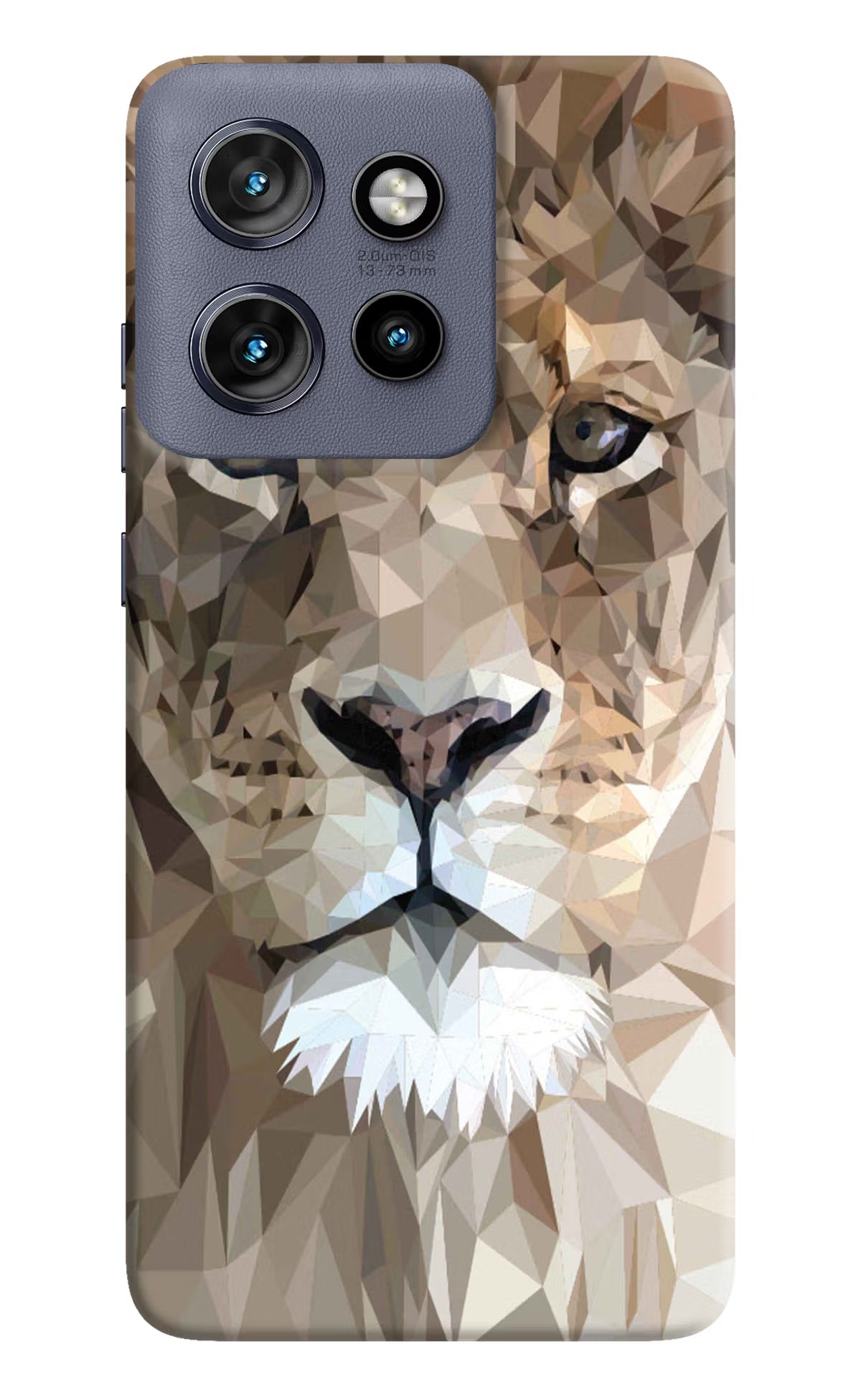 Lion Art Moto Edge 50 Neo Hard Case Back Cover by Casekaro