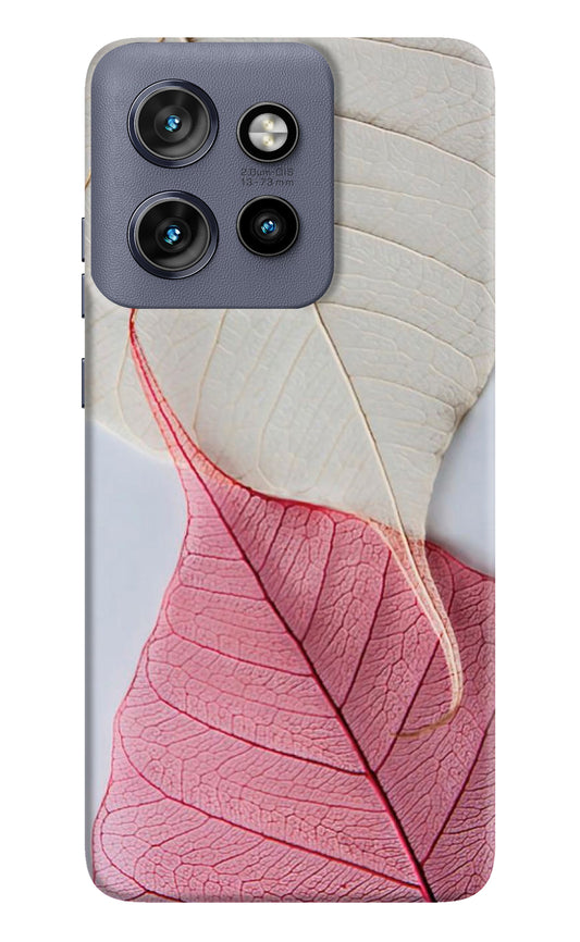 White Pink Leaf Moto Edge 50 Neo Back Cover