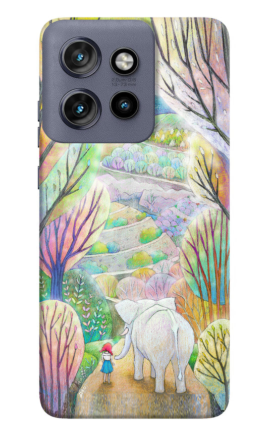 Nature Painting Moto Edge 50 Neo Hard Case Back Cover by Casekaro