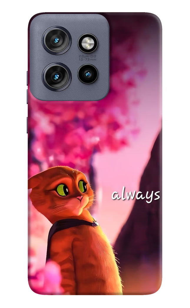 Always Cat Moto Edge 50 Neo Hard Case Back Cover by Casekaro