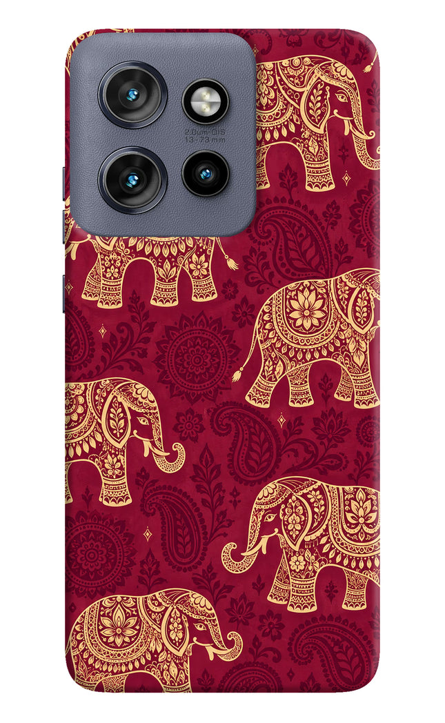 Maroon Elephant Moto Edge 50 Neo Hard Case Back Cover by Casekaro