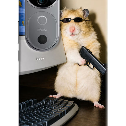 Hacker Hamster Vivo V40 5G Hard Case Back Cover by Casekaro