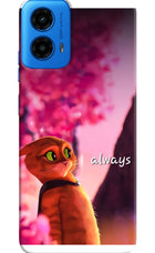 Always Cat Moto G45 Hard Case Back Cover by Casekaro