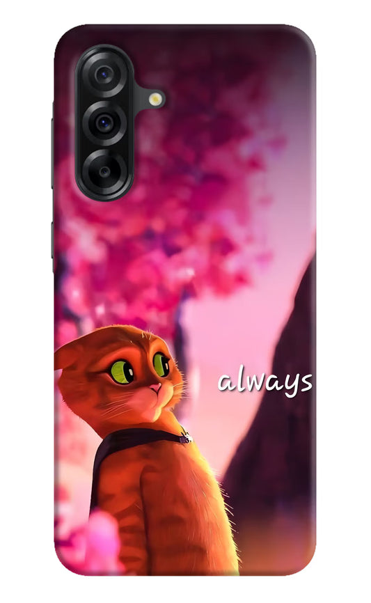 Always Cat Samsung A36 5G Hard Case Back Cover by Casekaro