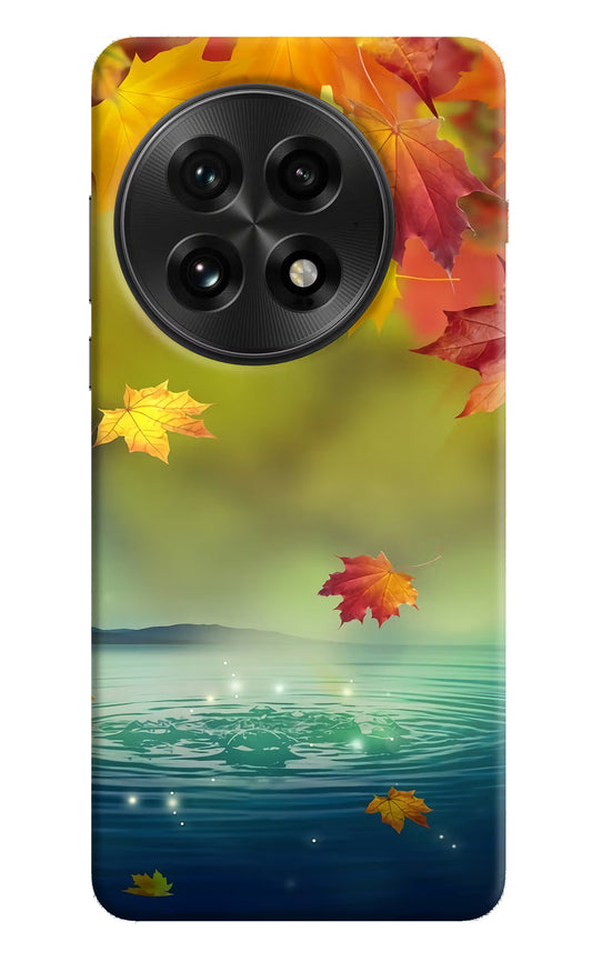 Flowers OnePlus 13 Hard Case Back Cover by Casekaro