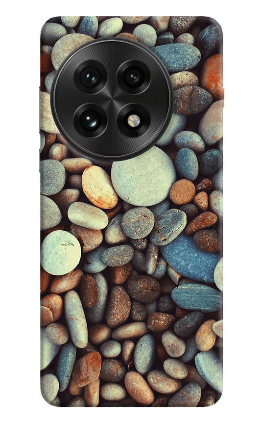 Pebble OnePlus 13 Hard Case Back Cover by Casekaro