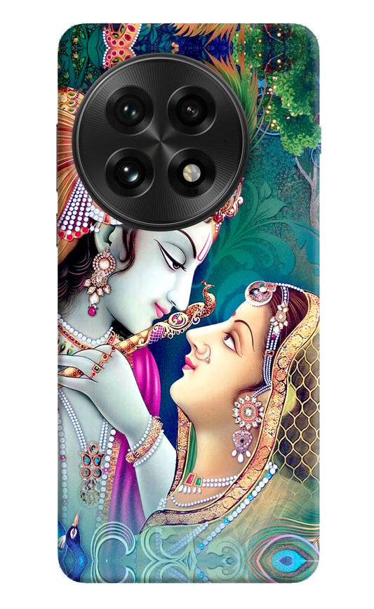 Lord Radha Krishna OnePlus 13 Hard Case Back Cover by Casekaro